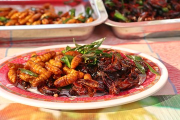 Canvas Print - Fried insect at street food