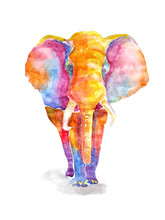 Watercolor Colorful Elephant On A White Background. Rainbow Bright Multicolored Big Adult Of Mammal Illustration.