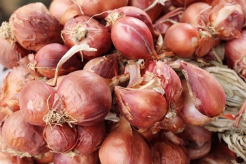 Canvas Print - Shallot - asia red onion at street food