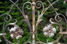 Old Decorative Iron Work With Flowers From Austro-Hungarian Empire