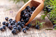 Juniper Branch And Wooden Spoon With Berries On A Wooden Table.