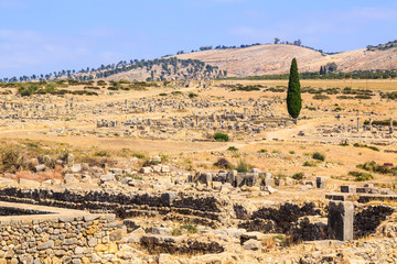 Wall Mural - Site overview of the ruins of Volubilis, ancient Roman city in Morocco.