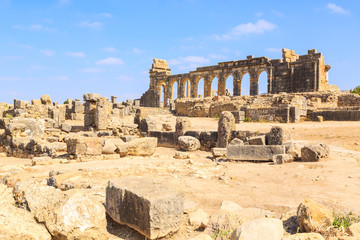 Wall Mural - Site overview of the ruins of Volubilis, ancient Roman city in Morocco.