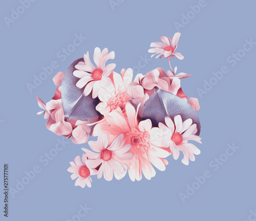 Camomile bouquet illustration.