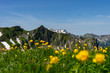 Oberstdorf Berge Alpen Panorama Wandern