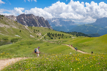Wall Mural - flowering meadow with hikers in a beautiful alpine landscape