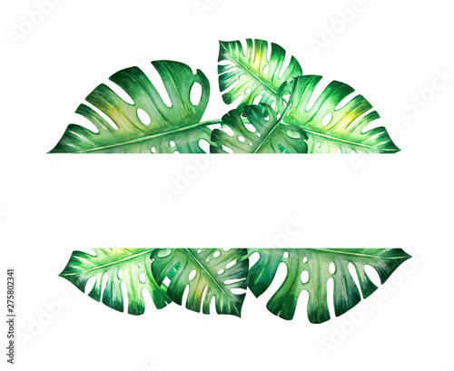 Beautiful frame of tropical leaves. Monstera, palm. Watercolor painting. Exot...