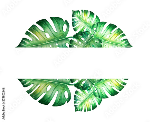 Beautiful frame of tropical leaves. Monstera, palm. Watercolor painting. Exot...