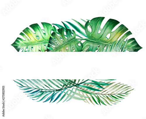 Beautiful frame of tropical leaves. Monstera, palm. Watercolor painting. Exot...