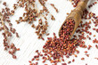 Sprig of red millet and grains of millet on a white background. Close-up.