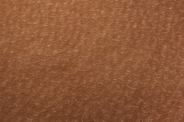 Pattern of clean human skin