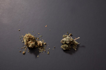 Two different kinds of sativa marijuana