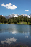 Fototapeta Sypialnia - View of a small lake, green meadows in front of high mountains at blue sky in the Swiss Alps in the Davos / Kloster area.