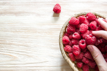 Wall Mural - raspberries in a basket with hands on a light wooden background