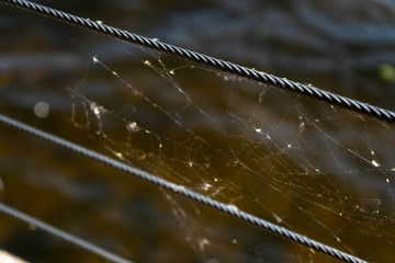 morning dew on spider web surrounded by ropes