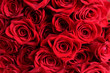 Zbliżenie wiązka czerwonych róż
