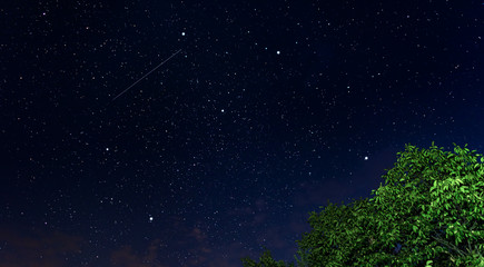Wall Mural - night beautiful starry sky. heavenly vault dotted with stars.