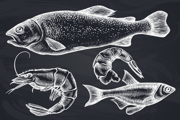 Vector set of hand drawn chalk fish, shrimp