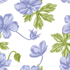 Wall Mural - Seamless pattern with hand drawn pastel meadow geranium