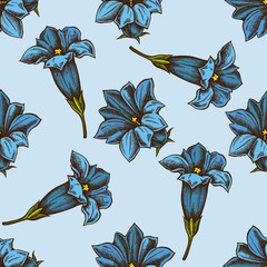 Wall Mural - Seamless pattern with hand drawn colored gentiana