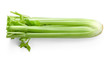 fresh green celery isolated on white background