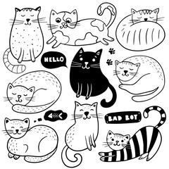 Wall Mural - Big set of hand drawn cats.