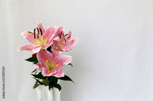 ユリの花 百合の花 ゆりの花 ユリ ピンクの花 Stock Photo Adobe Stock