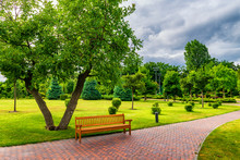 Beautiful Sunny Park With Bench.