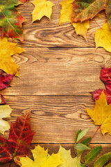 red and yellow maple leaves frame background.