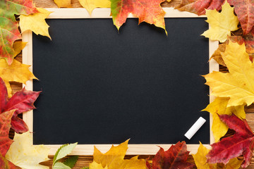 Red and yellow maple leaves around a blackboard. Back to school.