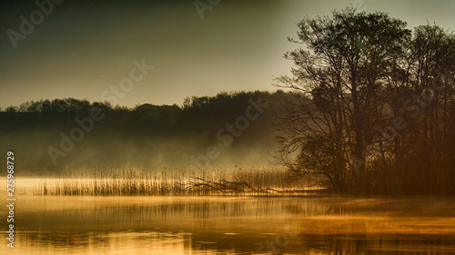 Plakaty mgła   rano-nad-jeziorem