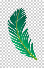 Canvas Print - vector illustration of palm tree leaf.