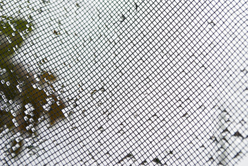 mosquito net close up. summer. background. raindrops