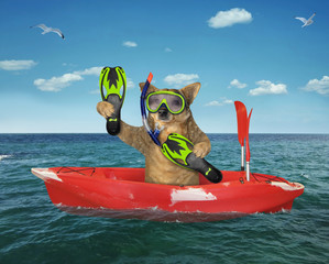 Wall Mural - The dog diver with a mask, a snorkel and flippers is drifting in the red plastic boat in the open sea.