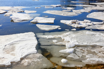 Canvas Print - sea ice natural scenery