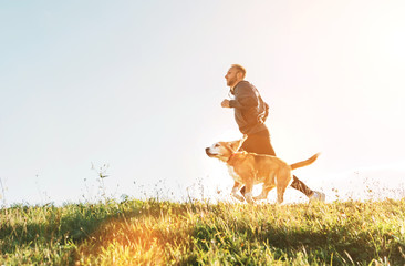 Wall Mural - man runs with his beagle dog. morning canicross exercise