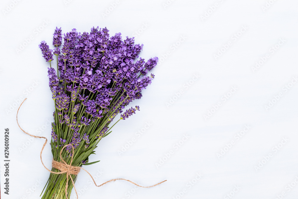 Lavender flowers on a white background. - obrazy, fototapety, plakaty 