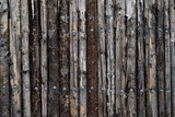 Fototapeta Las - A wall of wood made from trees