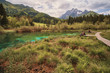 © David - lake Zelenci near Kranjska gora town with alps in the background- Slovenia