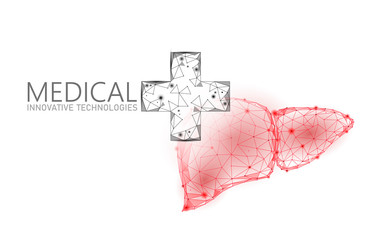 Wall Mural - Medical cross symbol liver doctor online concept. Medical consultation app. Web healthcare diagnosis drugstore network banner. Delivery market background low poly vector