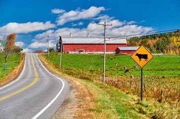 Wall Mural - Highway and red barn at sunny autumn day in New Hampshire, USA