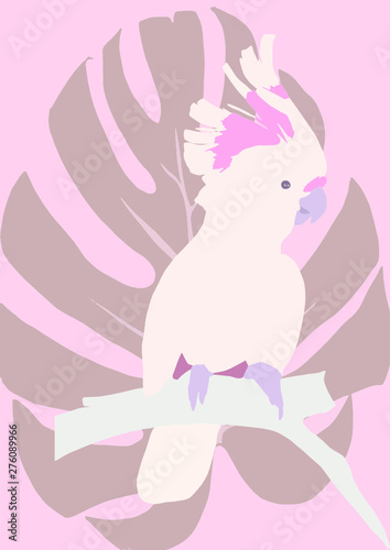 Parrot with leaf. Cockatoo pink