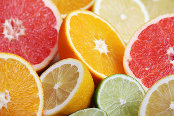 Poster - Mix of citrus fruits cut in different forms