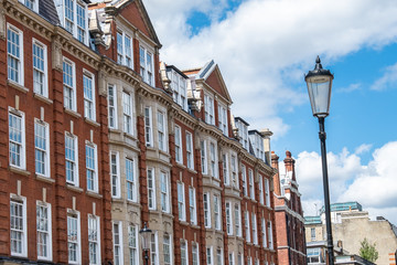 Wall Mural - A row of attractive terraced British townhouses