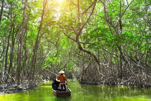 Cuadros en Lienzo People boating in mangrove forest, Malaysia