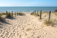 Sand Dune To The Beach