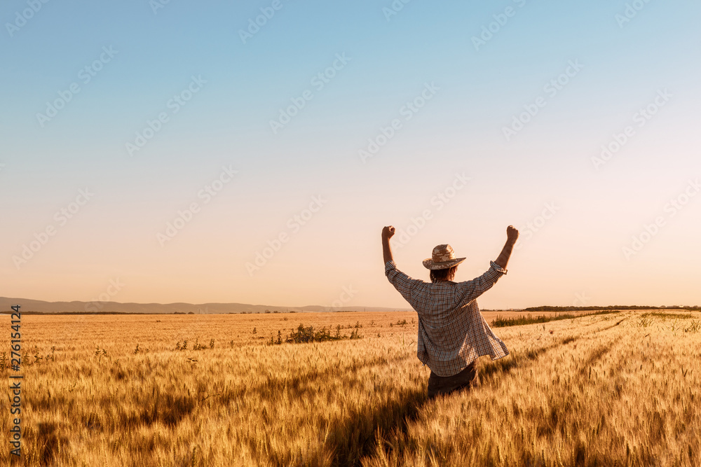 Proud happy victorious wheat farmer with hands raised in V - obrazy, fototapety, plakaty 