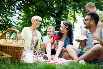 Wall Mural - Multi generation family enjoying picnic in a park