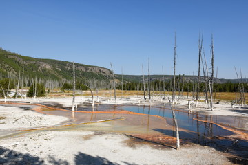 norris geyser basin porcelain in in Yellowstone National Park in Wyoming