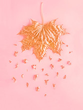 Golden Autumn Maple Leaf With Rose Foil Crumbs On Pastel Pink Paper Background. Minimal Creative Concept Idea With Space For Text. Top View.